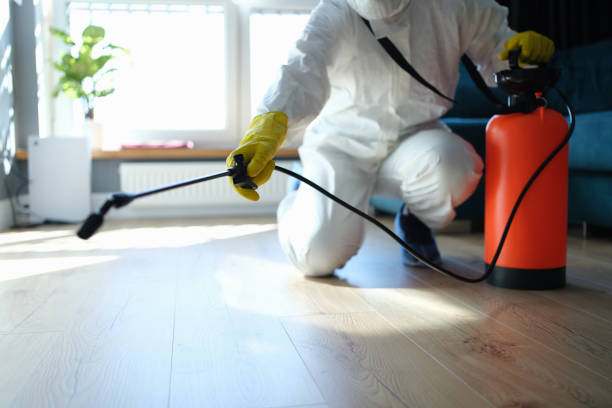 Reliable Trauma Scene Cleanup contractor in District of Columbia, DC by Trauma Clean Pros